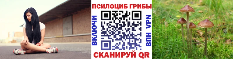Галлюциногенные грибы прущие грибы  Карачев 