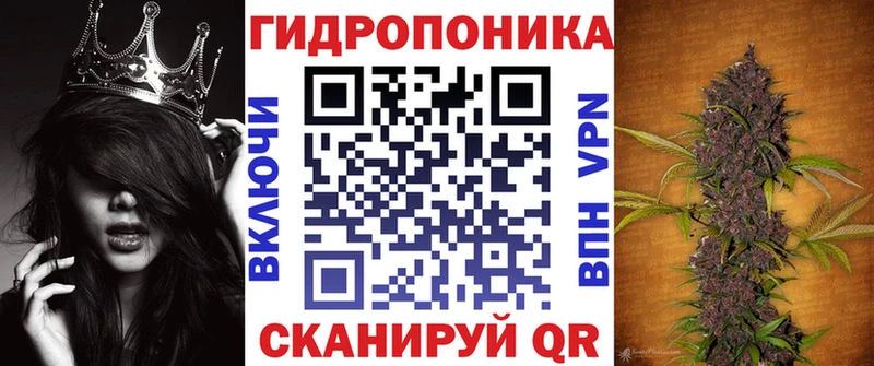 Шишки марихуана план  продажа наркотиков  Карачев 